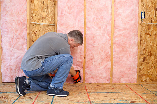 Best Types of Insulation in Meridian, PA