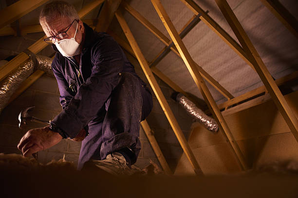 Best Commercial Insulation in Meridian, PA