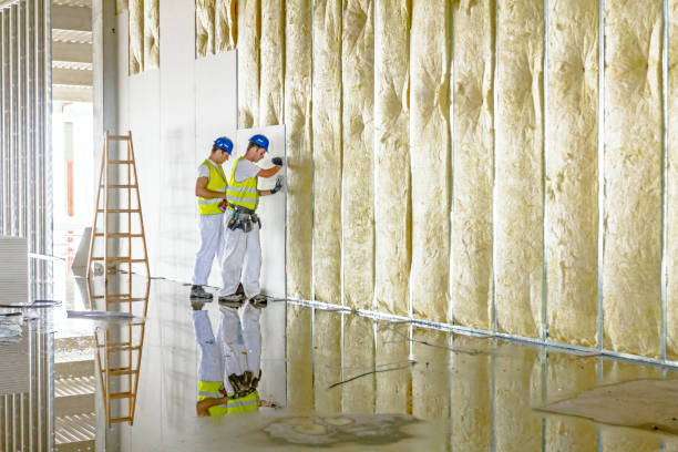 Best Commercial Insulation in Meridian, PA
